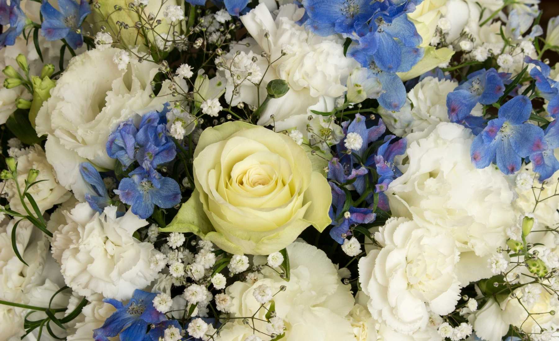 Hanukkah Flowers Etiquette, Uses, and Design by Josef Reiter